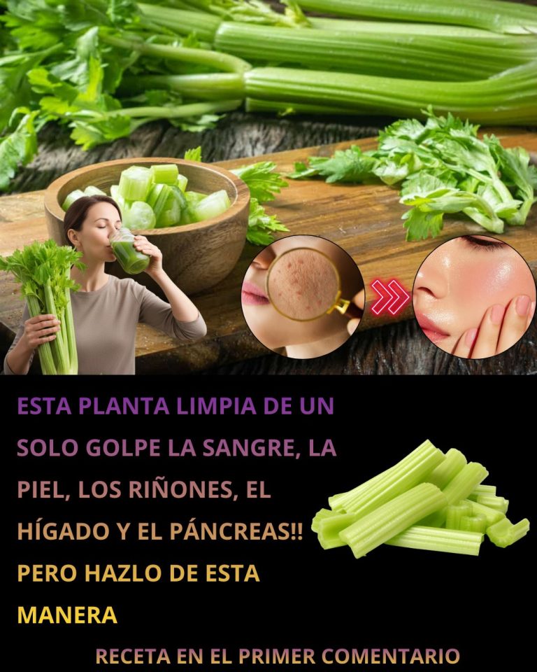 594494418 122142294338943773 9169285759832695590 n 768x960