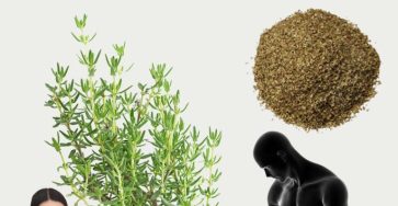 596496565 122143291292943773 5506467624450168486 n 768x960