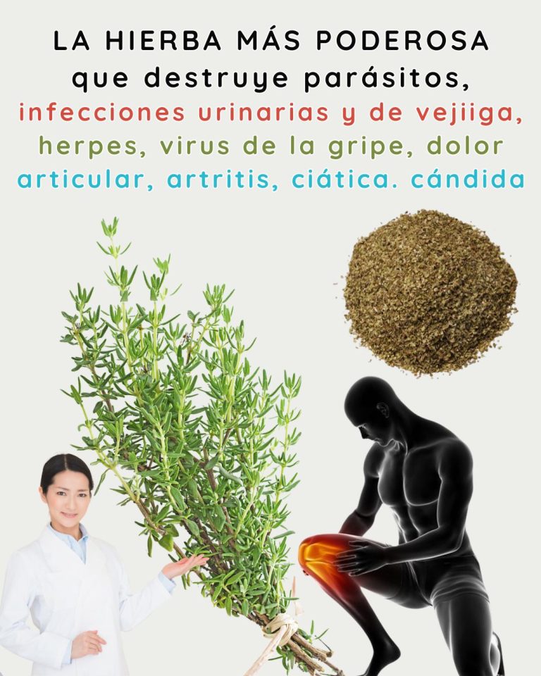 596496565 122143291292943773 5506467624450168486 n 768x960