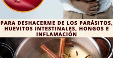 596818479 122143597448943773 9180093706985647127 n 768x960