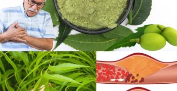 596972764 122142830042943773 5865634922019609075 n 768x960