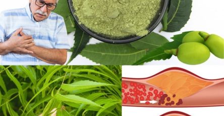 596972764 122142830042943773 5865634922019609075 n 768x960