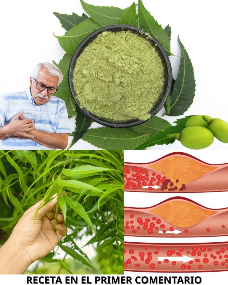 596972764 122142830042943773 5865634922019609075 n 768x960