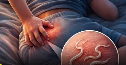 597274193 1306770511255449 5925766503643092289 n 768x960