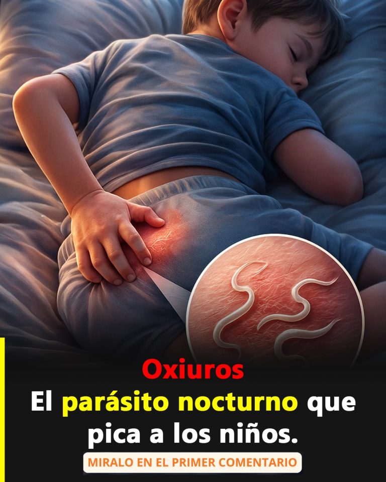 597274193 1306770511255449 5925766503643092289 n 768x960