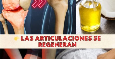 598651029 122143615514943773 9146255738780188445 n 768x960