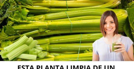 600219691 122144744642943773 1660693126238334909 n 768x960