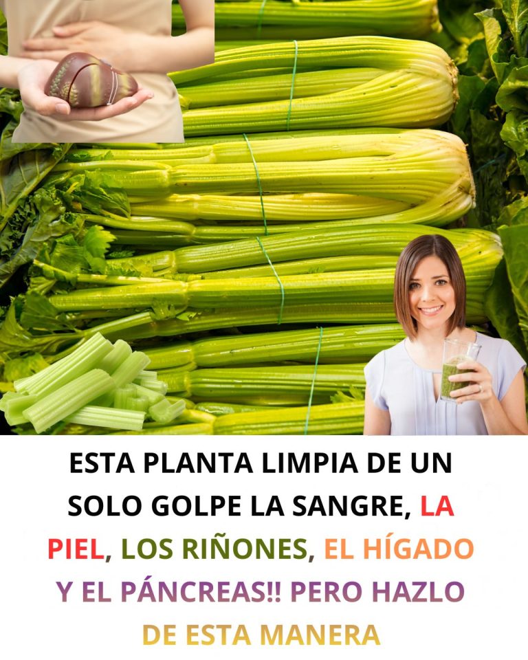 600219691 122144744642943773 1660693126238334909 n 768x960