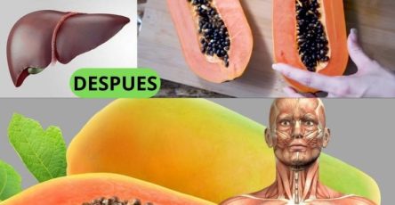 600313619 122144261000943773 7276626650520361950 n 768x960