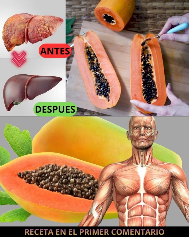 600313619 122144261000943773 7276626650520361950 n 768x960