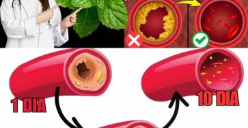 600344935 122144911520943773 3139514503732773060 n 768x960