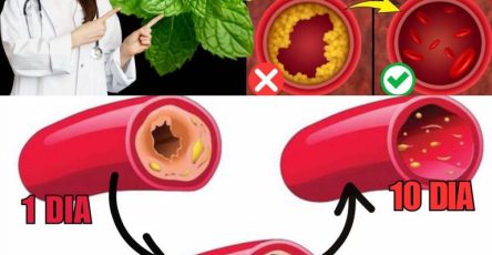 600344935 122144911520943773 3139514503732773060 n 768x960