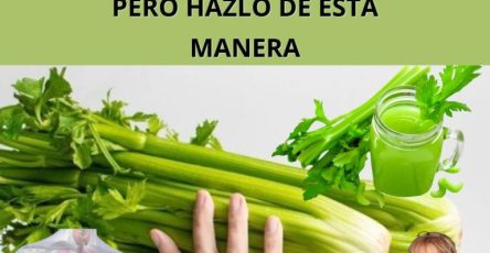 600355110 122144133572943773 166693597382081325 n 768x960