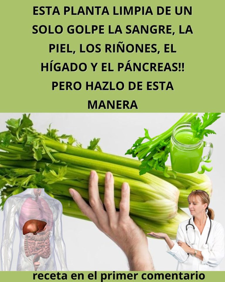 600355110 122144133572943773 166693597382081325 n 768x960