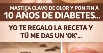 601438928 122146000370943773 554668443531198997 n 768x960