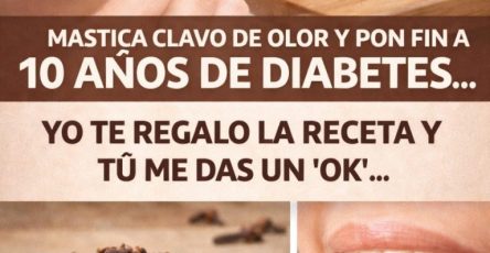 601438928 122146000370943773 554668443531198997 n 768x960