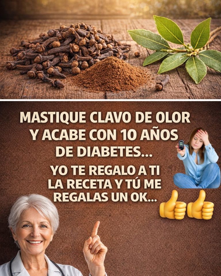 608051817 122147128040943773 6621876750831436902 n 768x960