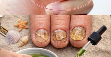 615369939 1514637126858234 6194706064668149984 n 768x960