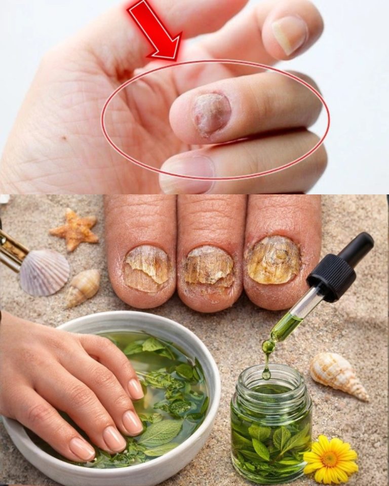 615369939 1514637126858234 6194706064668149984 n 768x960