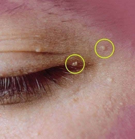 637469060 1611548350187064 5576341040298827761 n