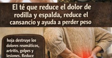 654864063 122159866088943773 3138048256253993558 n 768x960