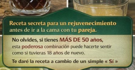 663315755 122119294827205411 4248659099943237840 n 768x1152