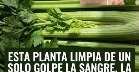 667038091 122153235074971843 205936194589547895 n 768x960