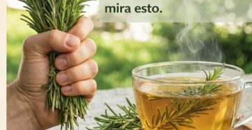 909a731a 89e8 4f0f 887e 291721c8cd3b 2 768x1152