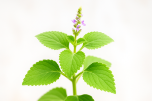 ChatGPT Image 12 abr 2025 09 59 00 p.m 768x512