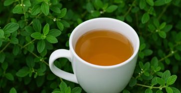 ChatGPT Image 7 nov 2025 09 46 29 a.m 768x432