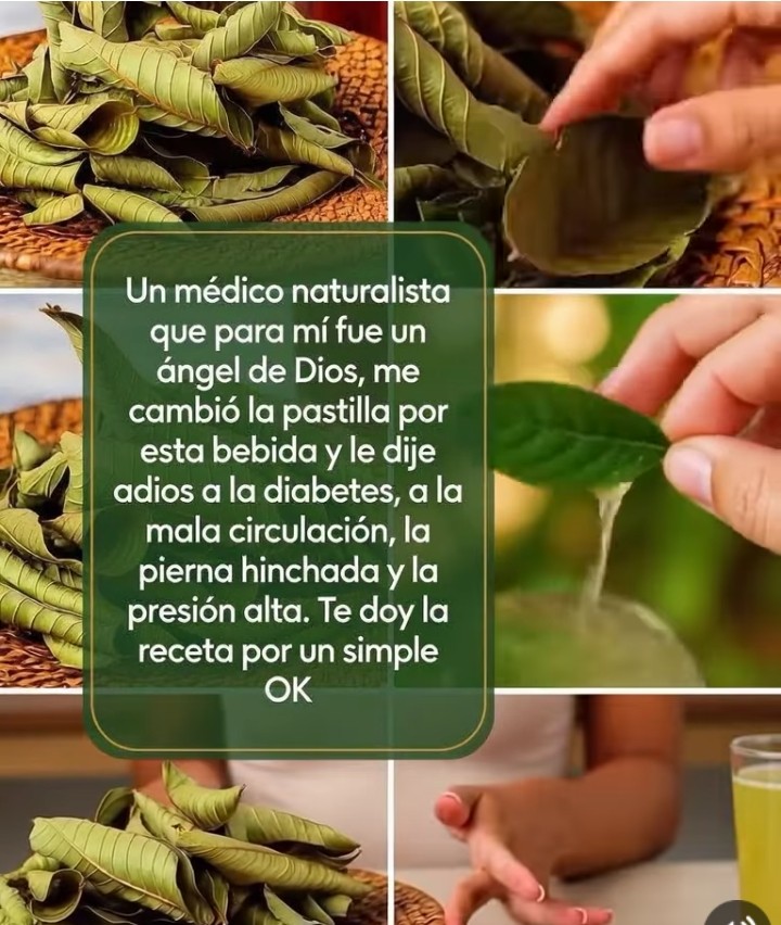 Screenshot 20260423 201551~2