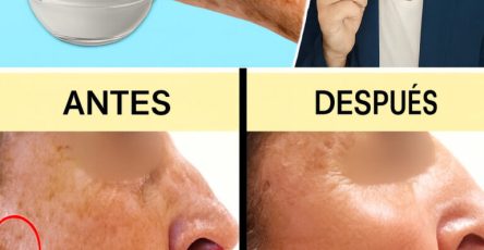 E67ef74f 6295 4f16 bcc8 53ec2e835a5a 768x1152