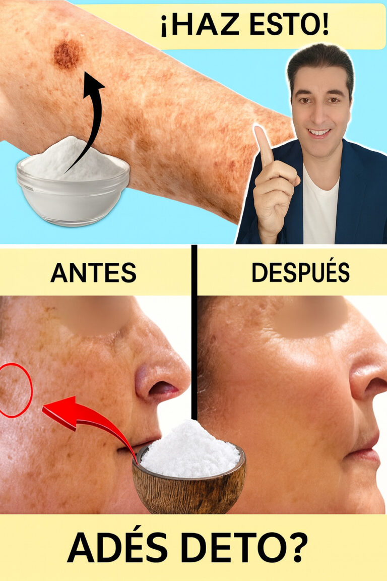 E67ef74f 6295 4f16 bcc8 53ec2e835a5a 768x1152