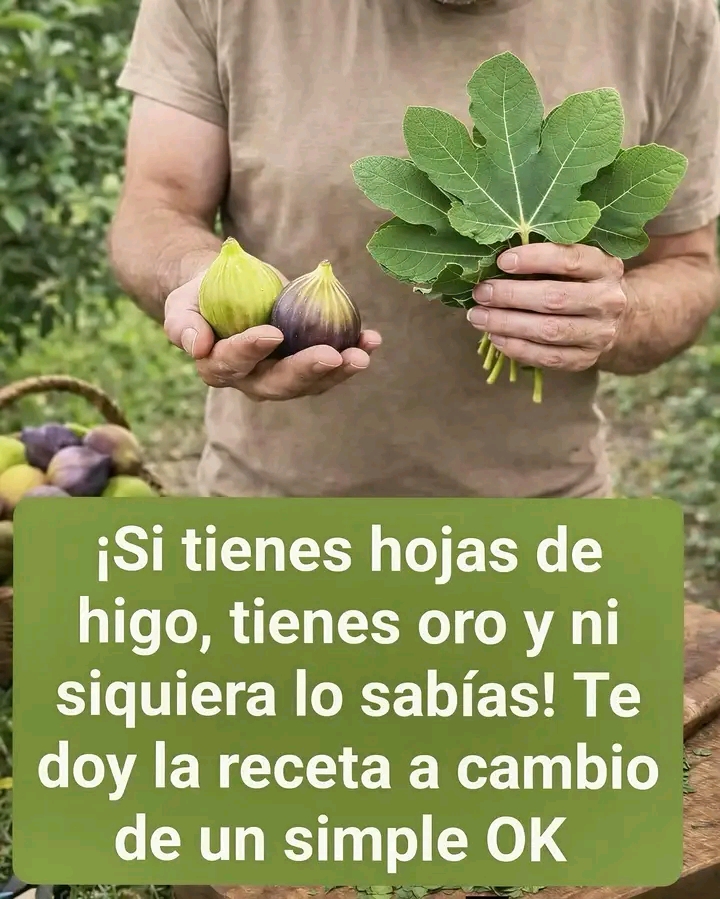 1779293373673