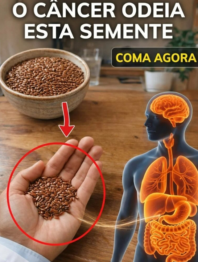Captura de tela 2026 04 13