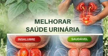 Captura de tela 2026 04 21