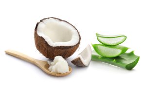 Fresh,Aloe,Vera,Leaves,And,Coconut,Oil,On,White,Background