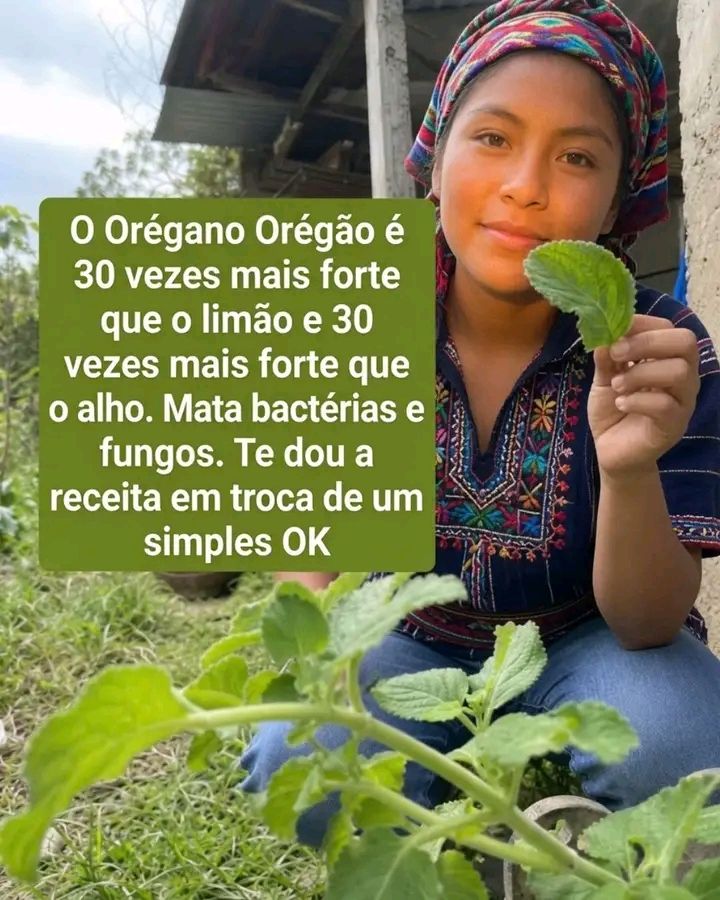 1781816726416