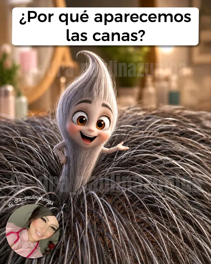 1782631808563
