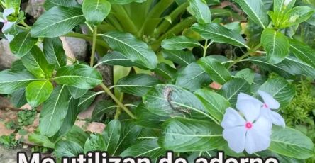 1782745486723