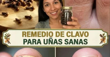 897b9259 b349 44e4 bc7e 336a9fdaff69