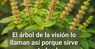 Grok image 0edaa0e2 3032 439a 9d68 43057fc7e132 768x957