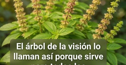 Grok image 0edaa0e2 3032 439a 9d68 43057fc7e132 768x957
